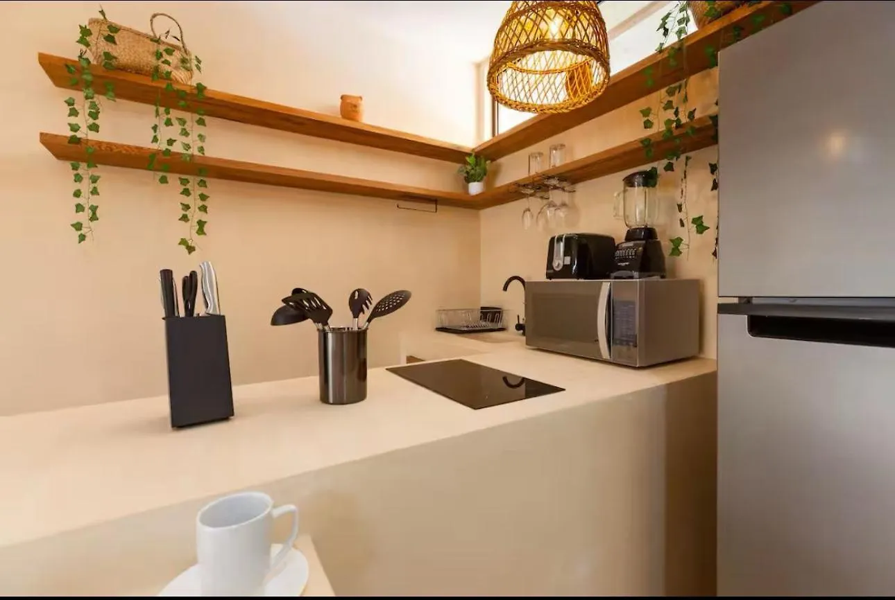 Cocay Departamento Jt Rentals Tulum 0*,  Mexico