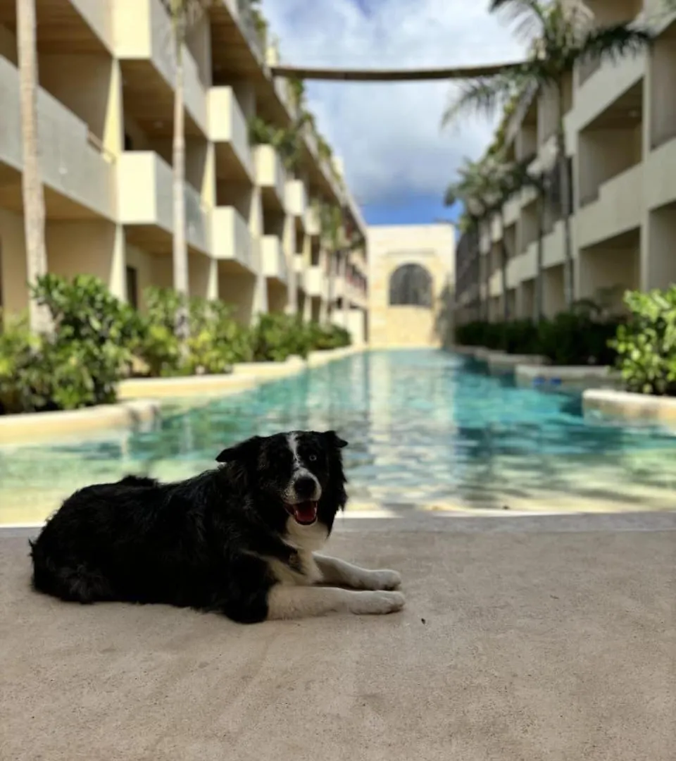 Apartmán Cocay Departamento Jt Rentals Tulum Mexiko